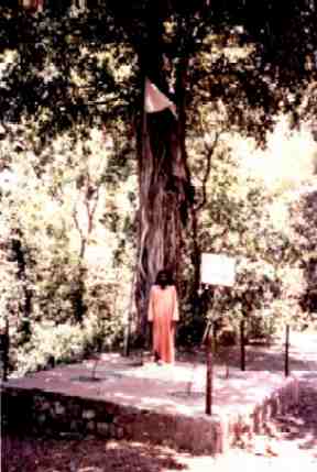 Swami Shankardasji stands at site where Sri Tat Wale Baba was murdered.